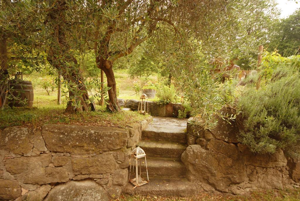 הוילה Podere Caminino Pieve Di Caminino Historic Farm מראה חיצוני תמונה