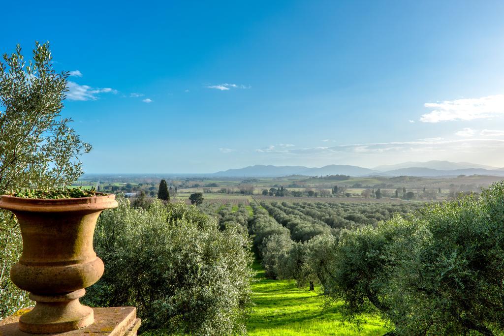 הוילה Podere Caminino Pieve Di Caminino Historic Farm מראה חיצוני תמונה